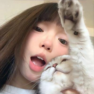 疯狂的摄像机